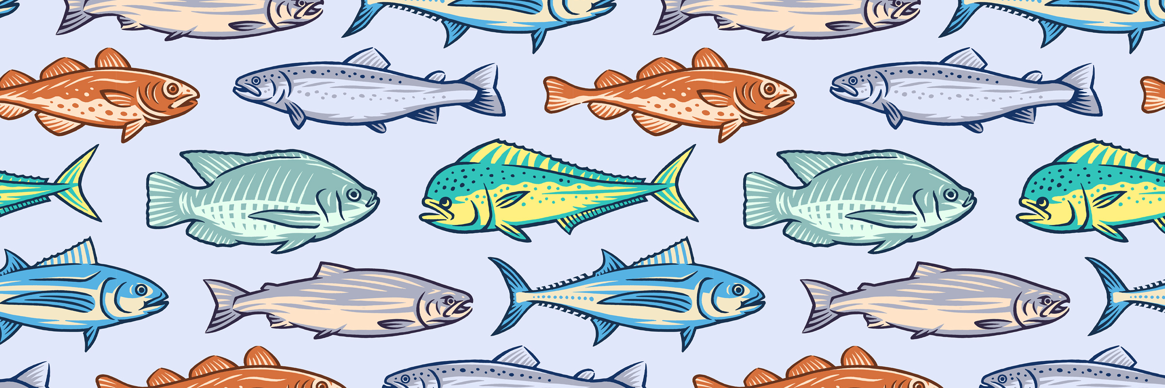 variety of illustrated fish