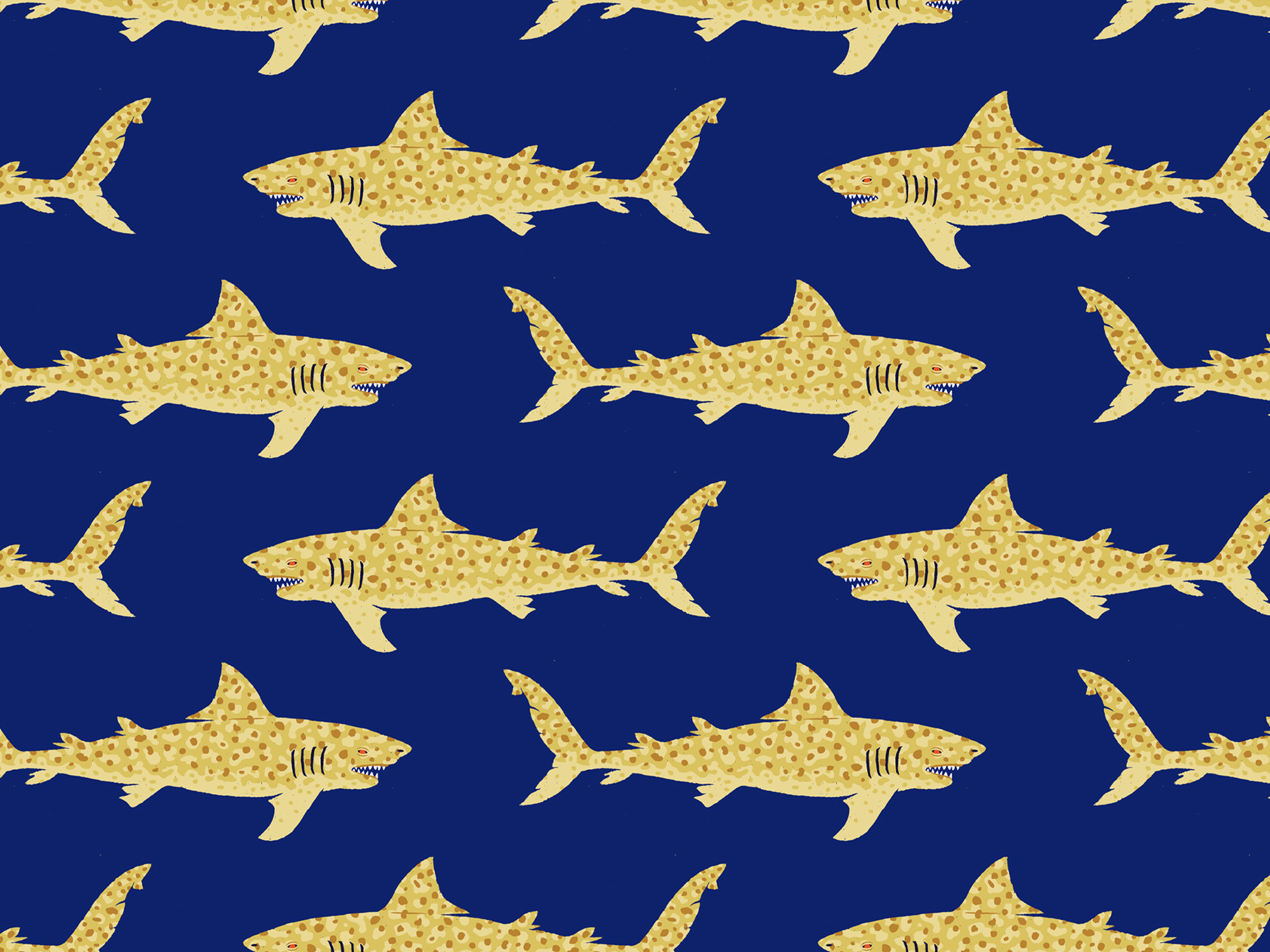 shark pattern